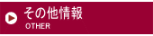 その他情報