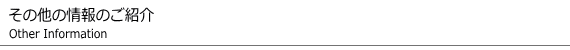 その他の情報について